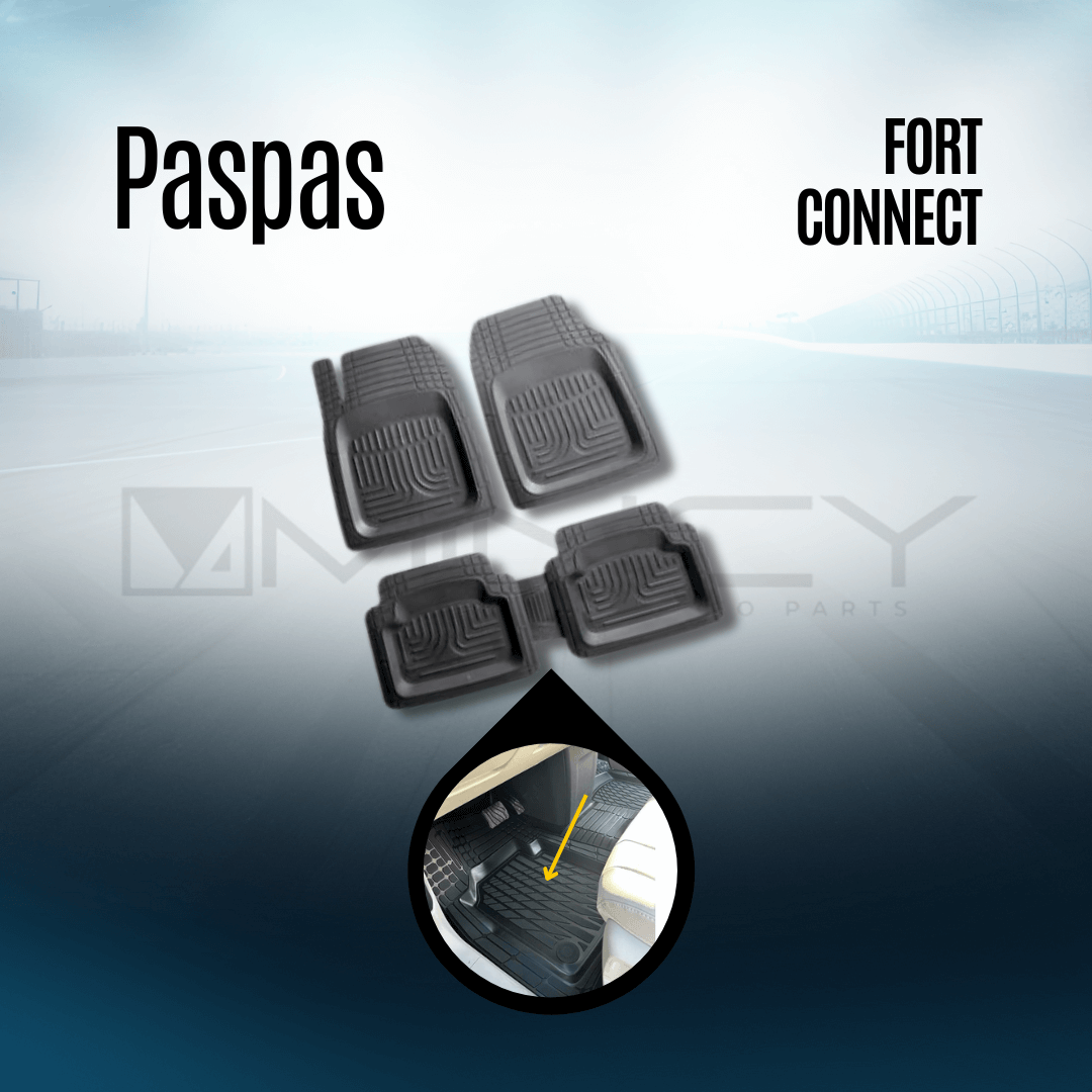 Paspas Ford Connect